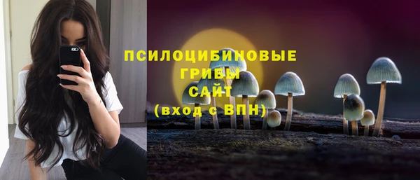 эйфоретик Абинск