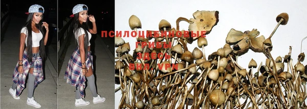 мяу мяу мука Абдулино