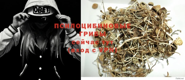 круглые Алзамай