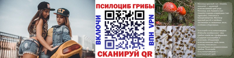 Галлюциногенные грибы прущие грибы  дарнет шоп  Мирный 