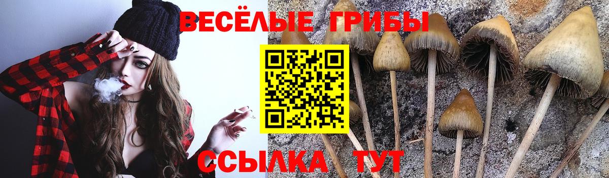 МЕФ кристаллы  Экстази  Марихуана  Кокаин  Конопля  Мирный  Гашиш  Вход с VPN 